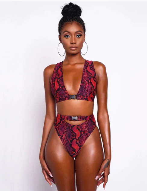 HIGH WAIST SNAKE-PRINT TRIANGLE THONG TWO PIECE BIKINI SWIMSUIT